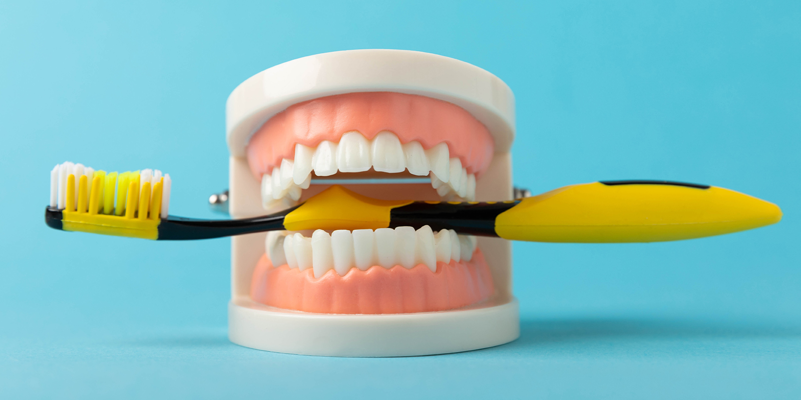 定期健診について